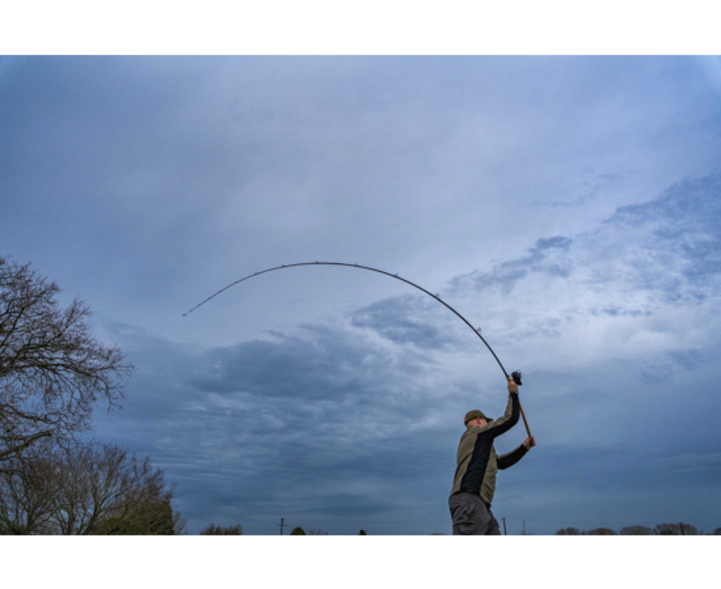 Limitless Feeder
