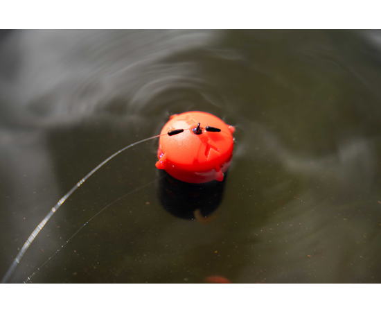 Floating Feeder